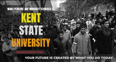 Minority Students at Kent State: A Diverse Academic Community