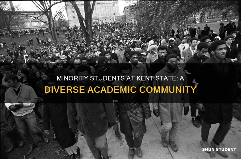 what percent are minority students at kent state university