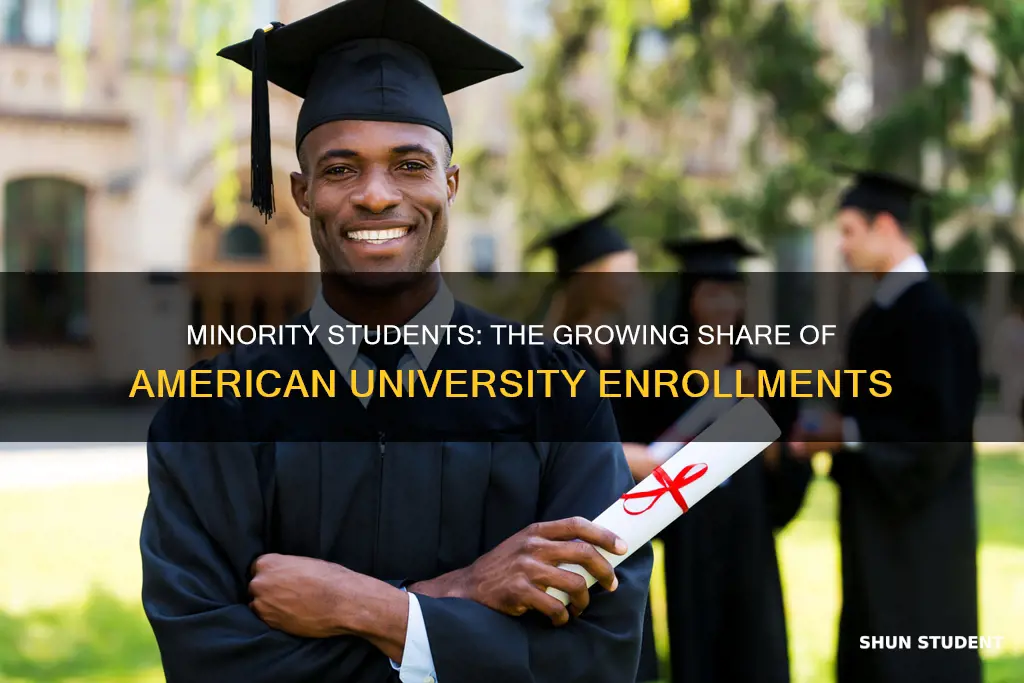 what percent of american university students are minorities