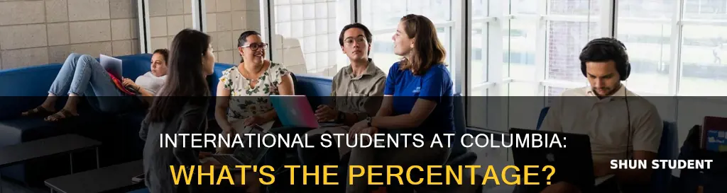 what percent of columbia students are international