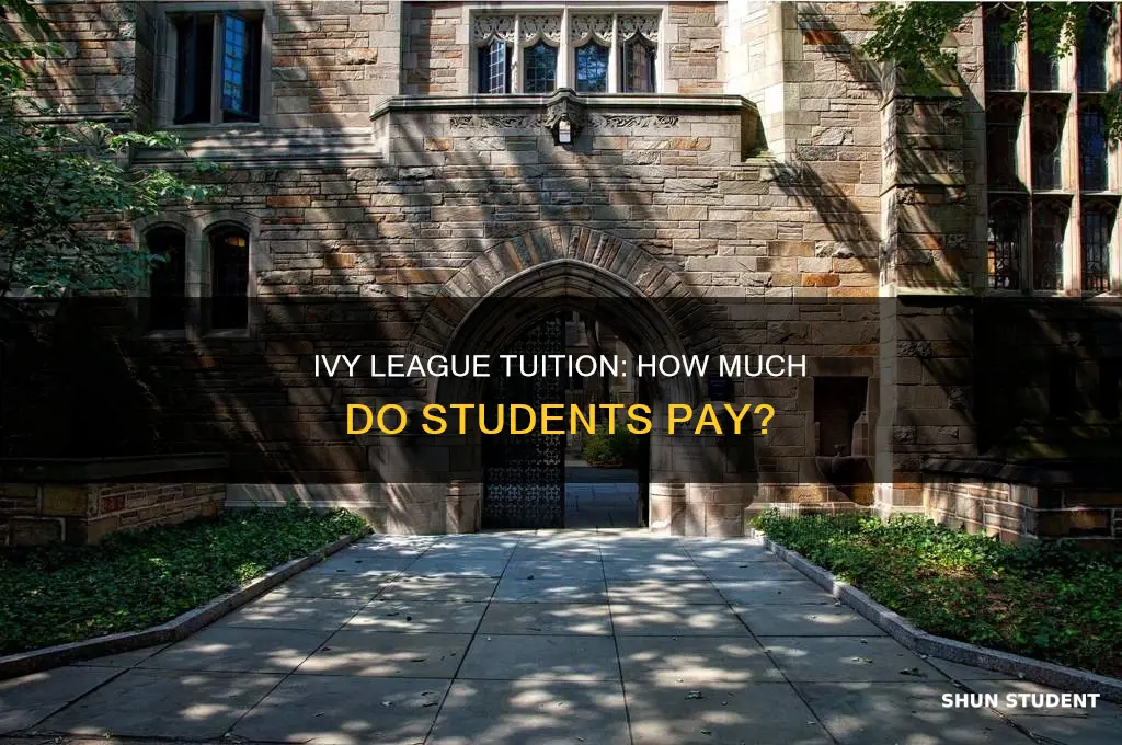 what percent of income to ivy league students pay