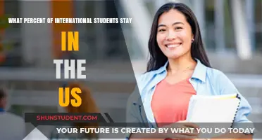 Staying in the US: International Students' Choices