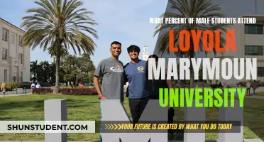 Loyola Marymount University: Male Enrollment Insights