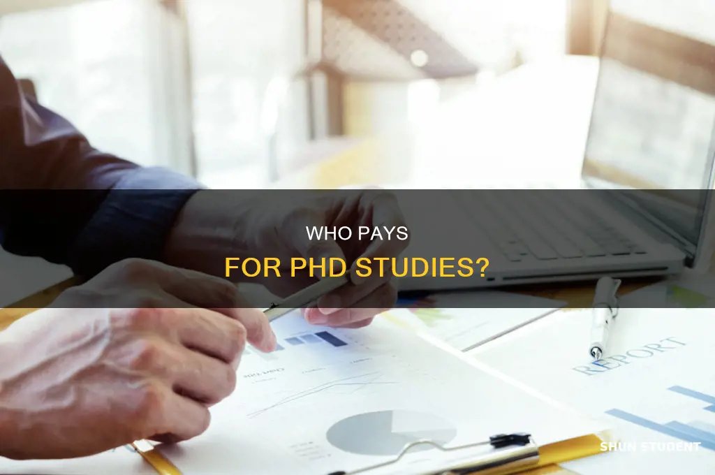 what percent of phd students pay to study