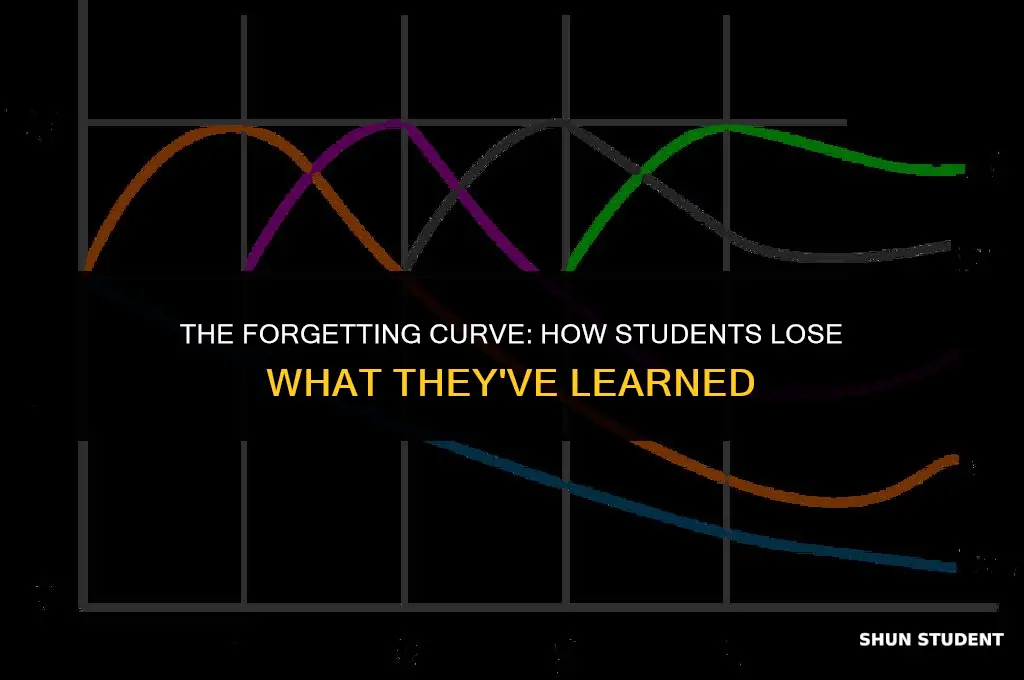 what percent of students forget what they have learned