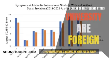 International Student Diversity: Unveiling the University's Global Student Population