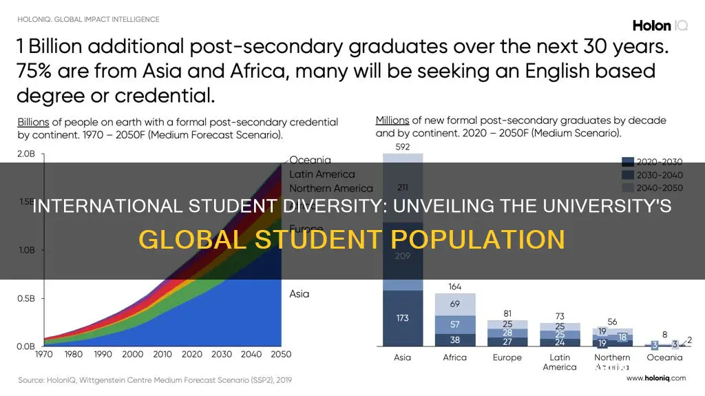 what percent of the students at this university are foreign