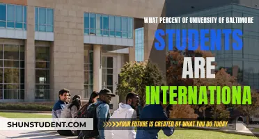 International Students at UMB: A Diverse Community