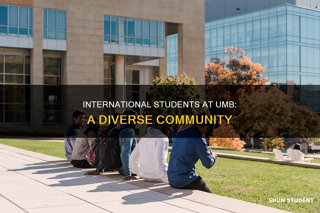 what percent of university of baltimore students are international