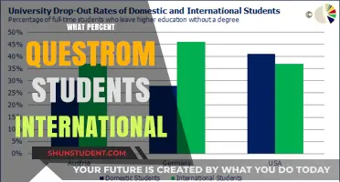 International Students at Questrom: What's the Percentage?