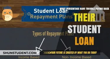 Student Loan Repayment: A Daunting Task for Many