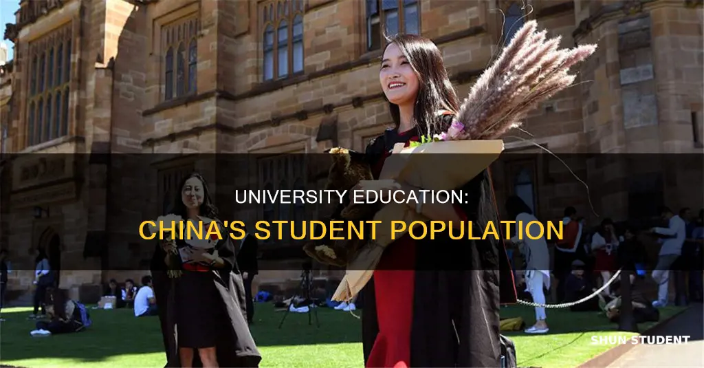 what percentage of chinese students go to university