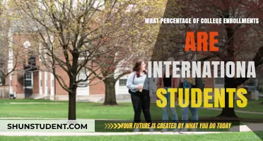 International Students: What's Their College Enrollment Share?