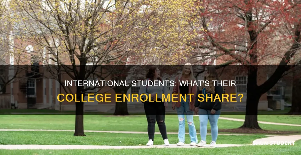 what percentage of college enrollments are international students