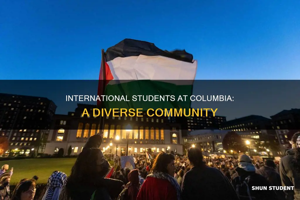 what percentage of columbia university students are international