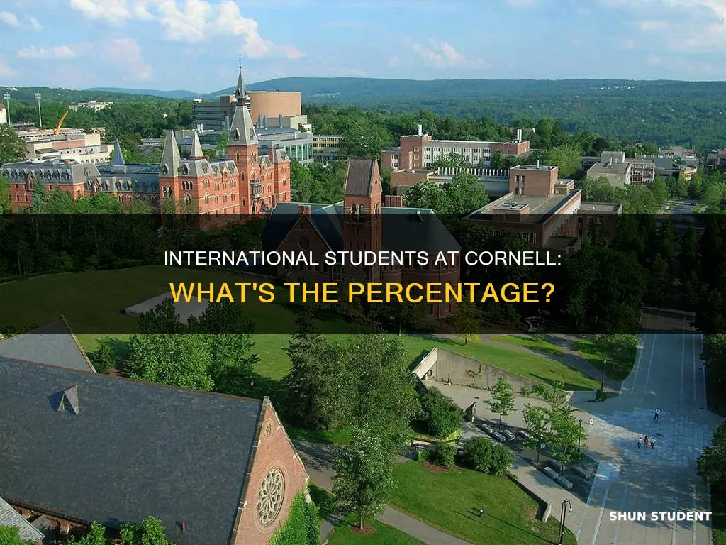 what percentage of cornell students are international