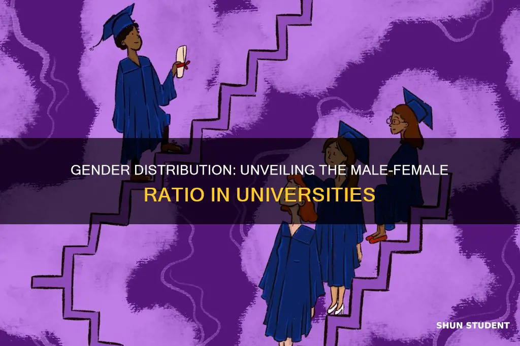 what percentage of current university students are male