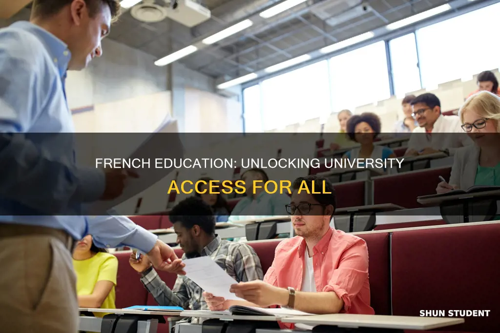 what percentage of french students go to university