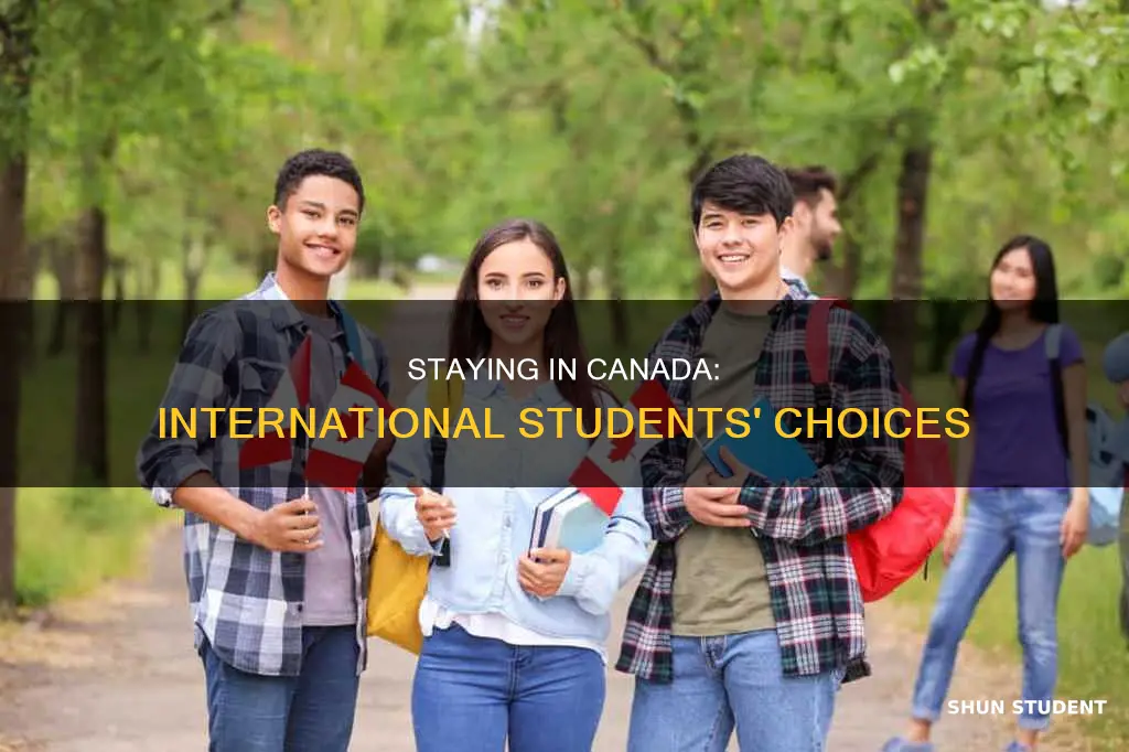 what percentage of international students stay in canada