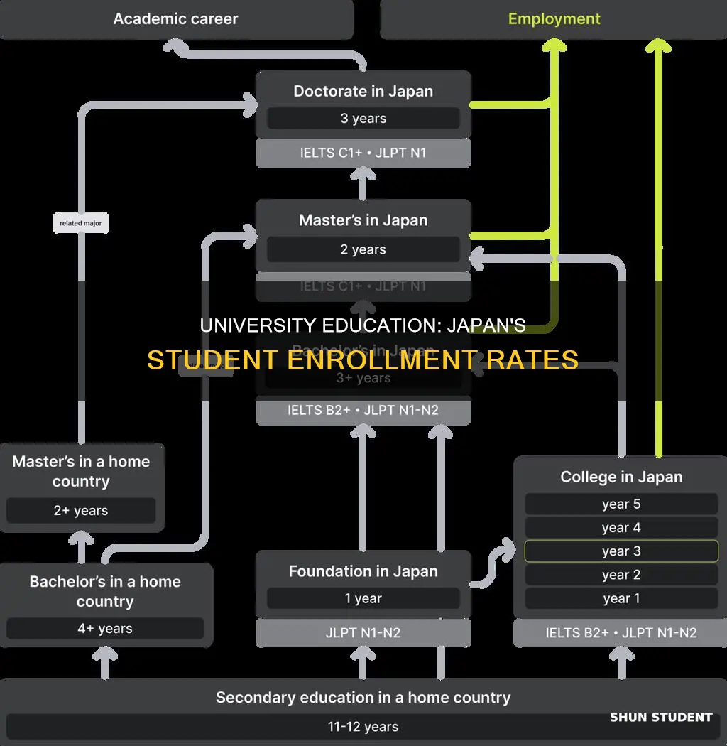 what percentage of japanese students go to university