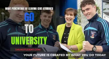 University Aspirations: The Leaving Cert's Path to Higher Education