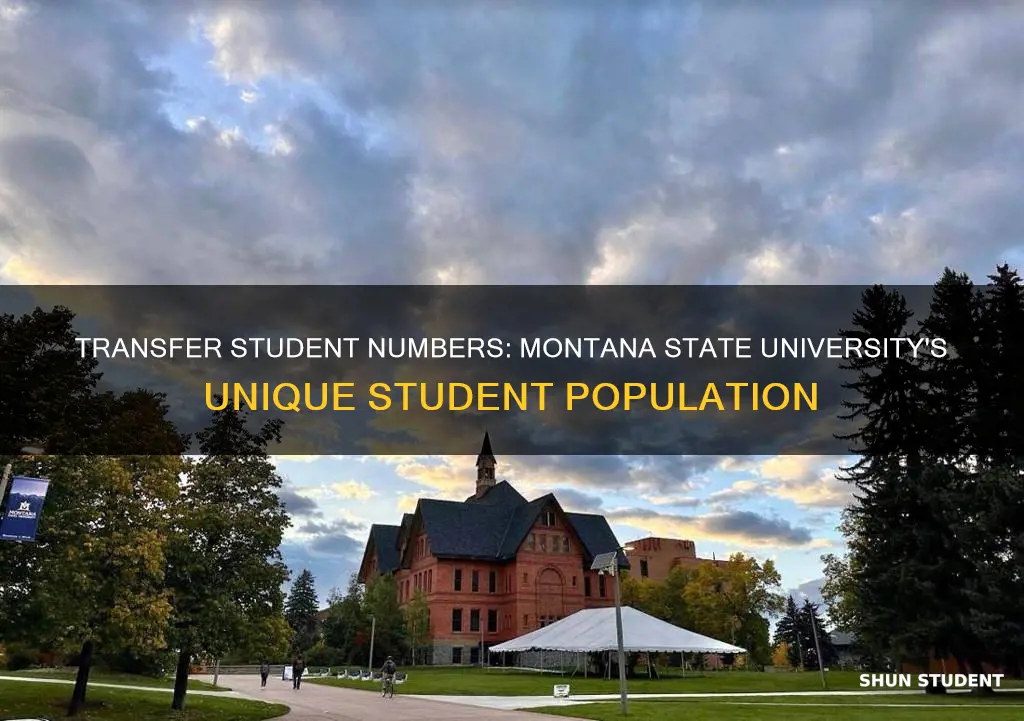 what percentage of montana state university students are transfer students