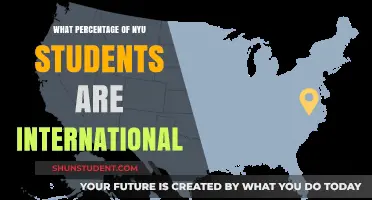 International Students at NYU: What's the Percentage?
