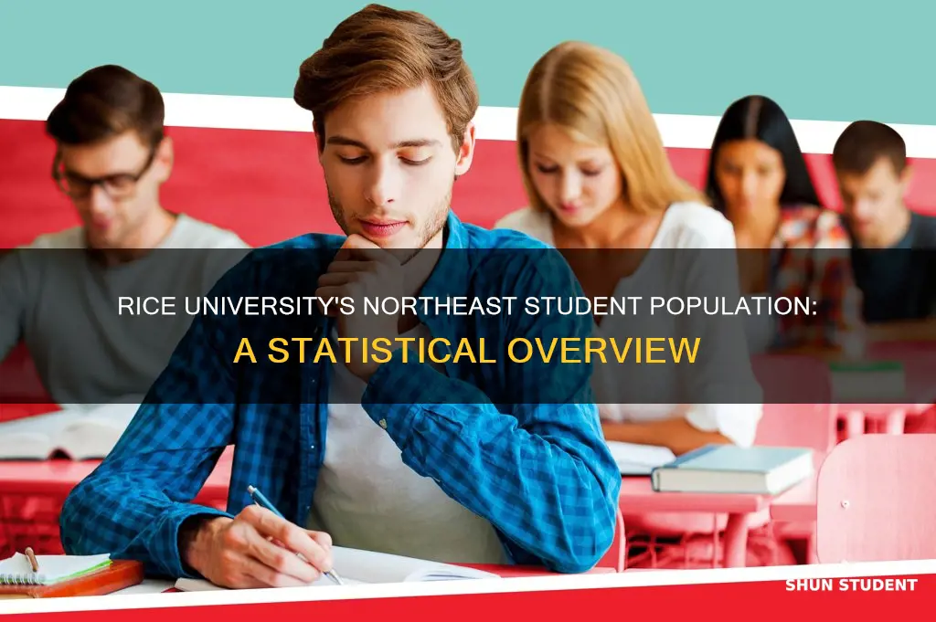 what percentage of rice university students are from northeast