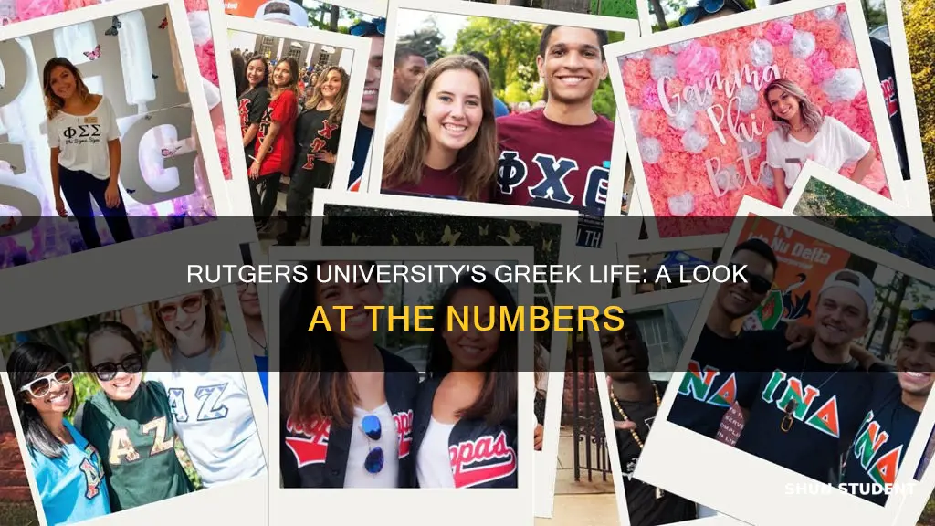 what percentage of students are greek life in rutgers university