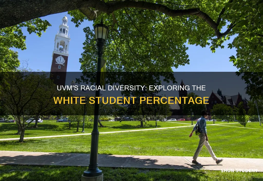 what percentage of students at university of vermont are white