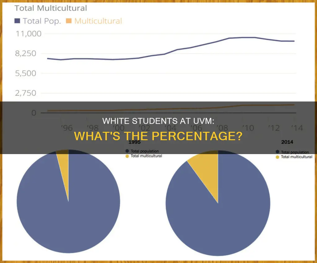 what percentage of students at university of vermont are white