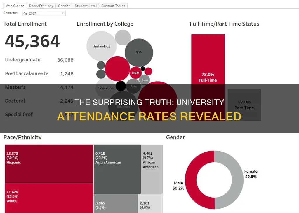 what percentage of students attend university