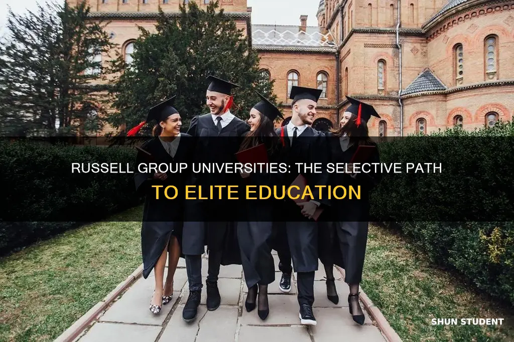 what percentage of students go to russell group universities