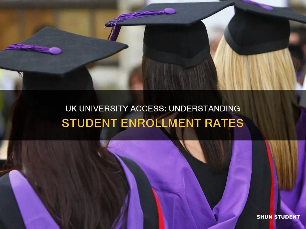 what percentage of students go to university in the uk