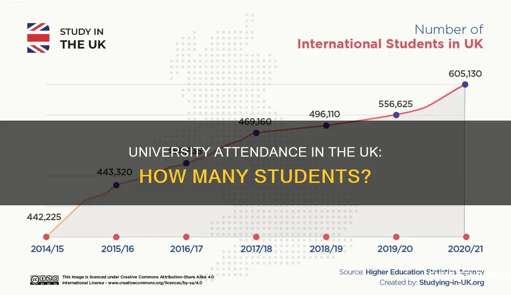what percentage of students go to university in the uk