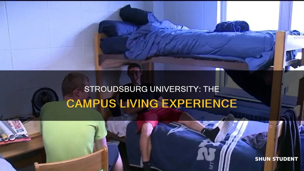 what percentage of students live on campus at stroudsburg university