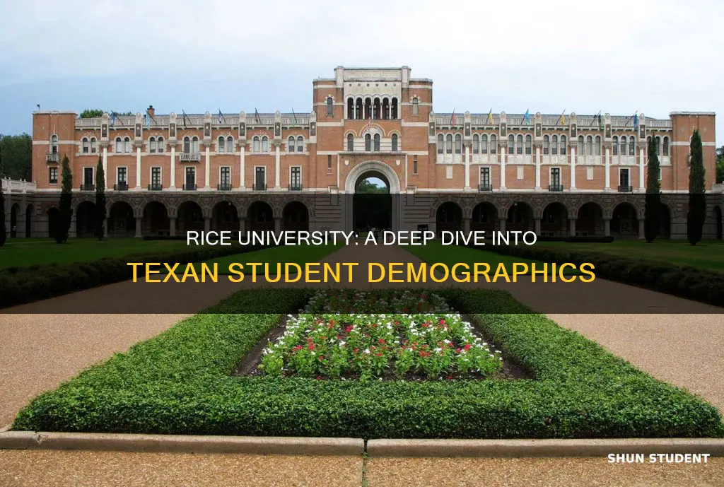 what percentage of the students at rice university are texans