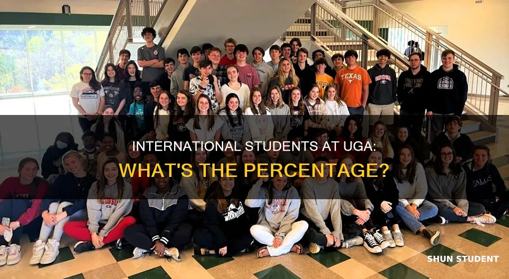 what percentage of uga students are international students