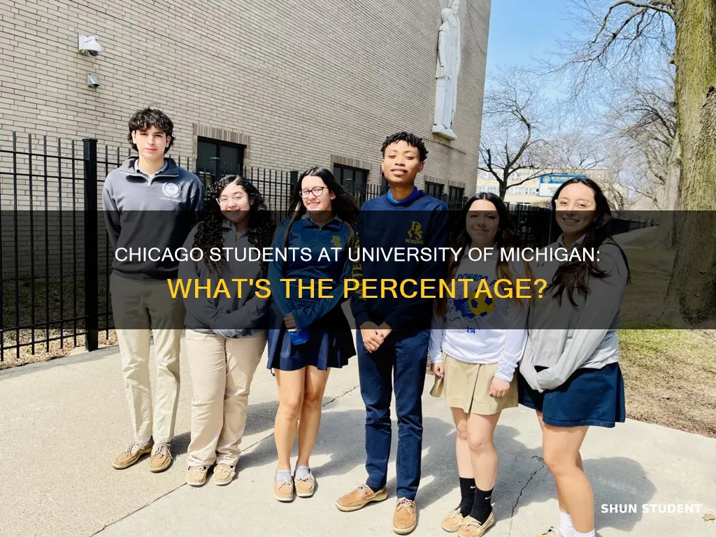what percentage of university of michigan students are from chicago
