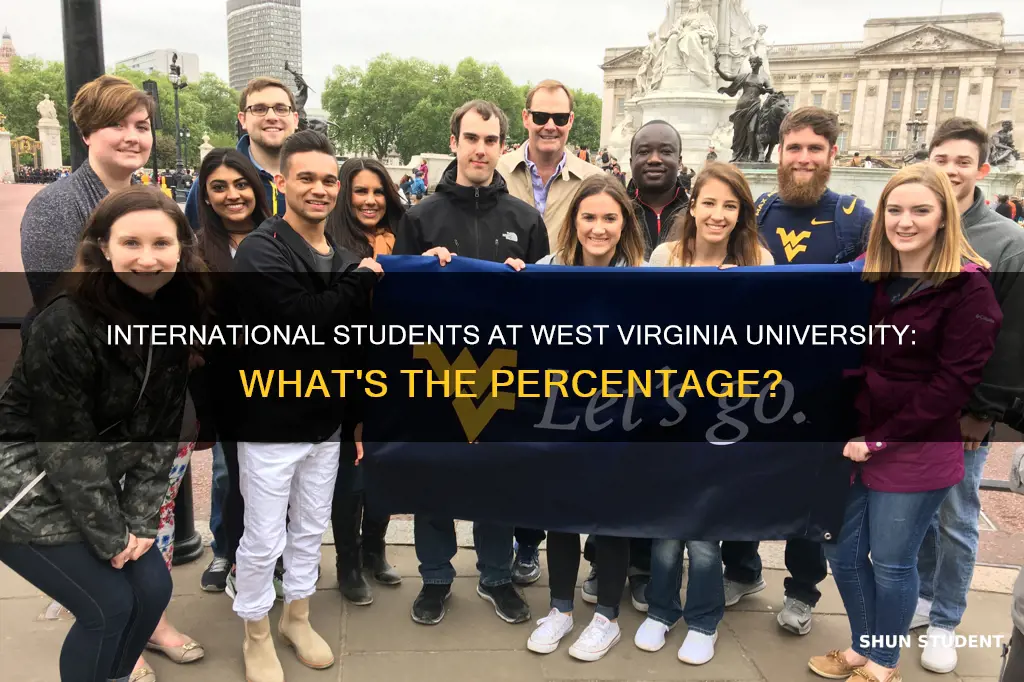 what percentage of west virginia university students are international