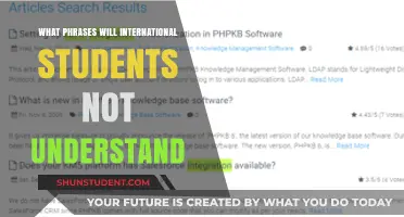 Unfamiliar Phrases: A Guide for International Students