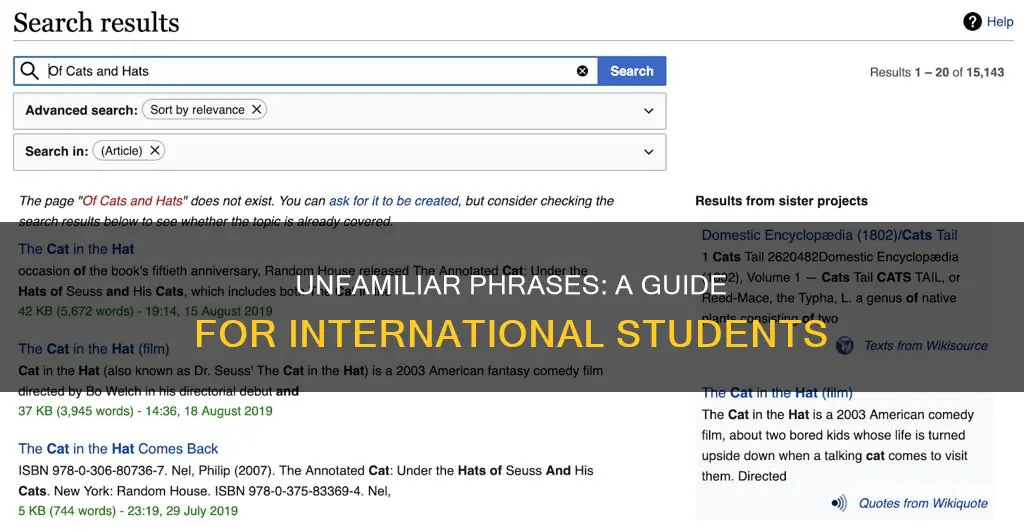 what phrases will international students not understand