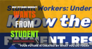 Pittsburgh University: Student Expectations and Requirements