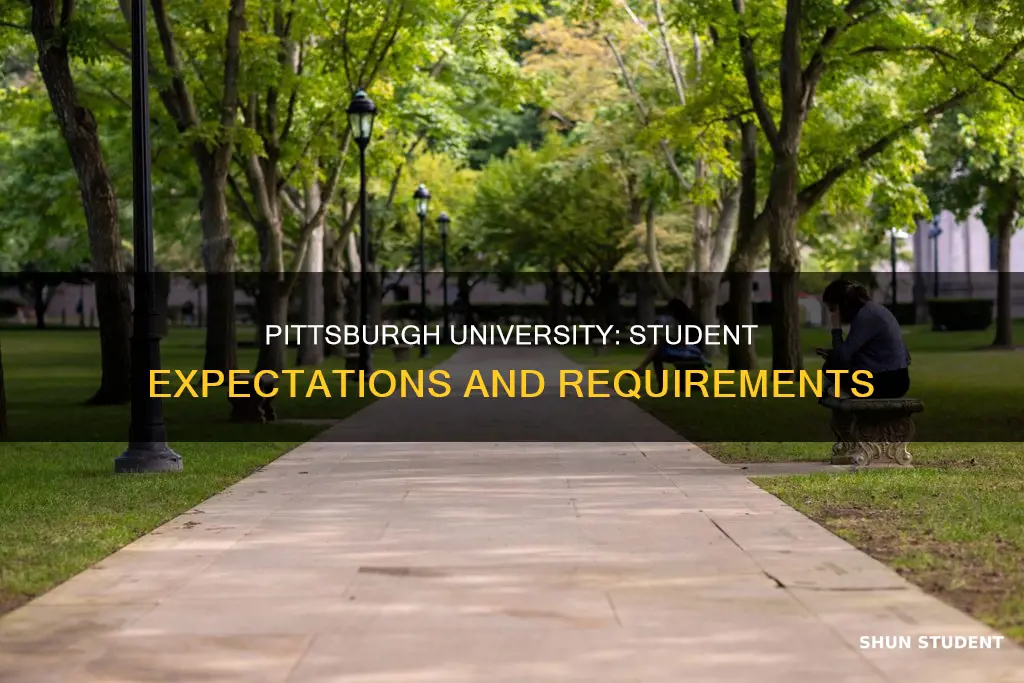 what pittsburh university wants from student