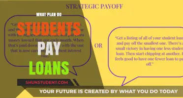 Student Loan Payment Plans: What's Your Strategy?