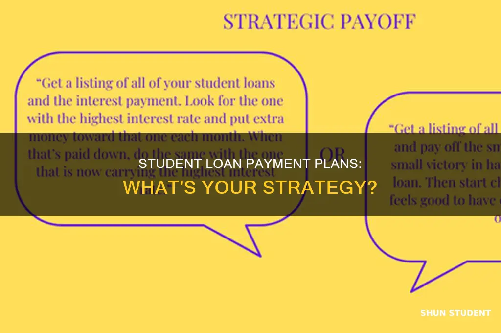 what plan do students pay loans