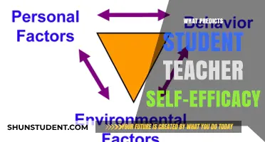 Factors Shaping Student and Teacher Self-Efficacy: Key Insights