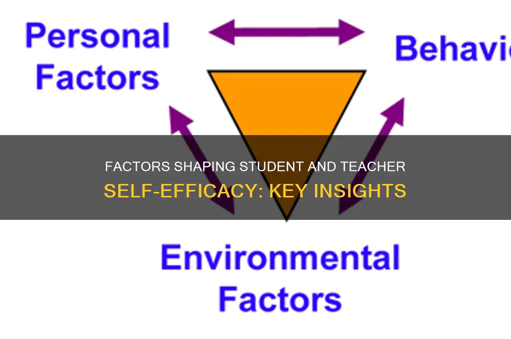 what predicts student teacher self-efficacy
