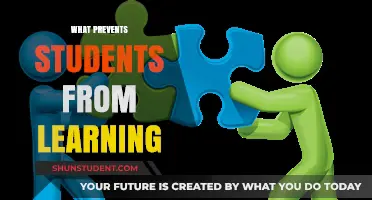Unlocking Potential: Overcoming Barriers to Student Learning