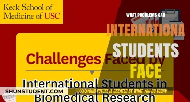 International Students: Challenges and Adversities